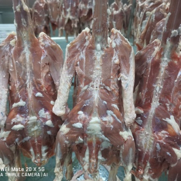 去皮鹅朗德鹅卤货加工厂专用长期有货