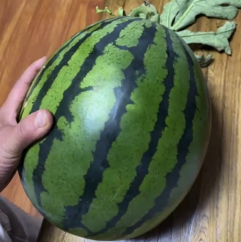 【热卖中】精品甜王，质量保证，红瓤薄皮。