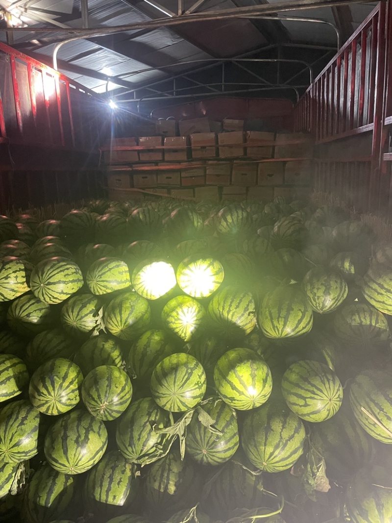 【热卖中】精品甜王，质量保证，红瓤薄皮。