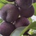 四川月脆，美味多汁，香甜可口，入口即化，不一样的风味