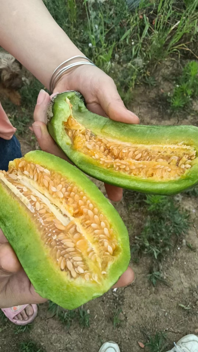 好吃😋便宜