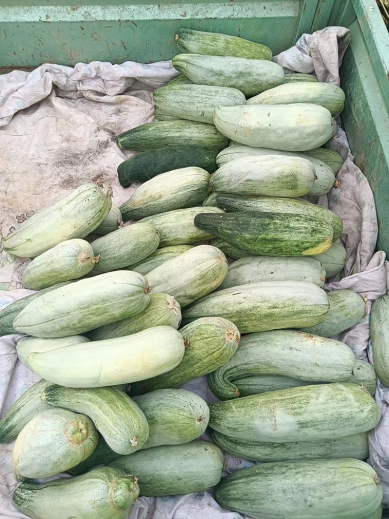 好吃😋便宜