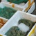 花蛙产地大量活体牛蛙肉多多水产田蛙现货现捞现发活物