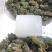 花蛙产地大量活体牛蛙肉多多水产田蛙现货现捞现发活物