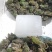 花蛙产地大量活体牛蛙肉多多水产田蛙现货现捞现发活物
