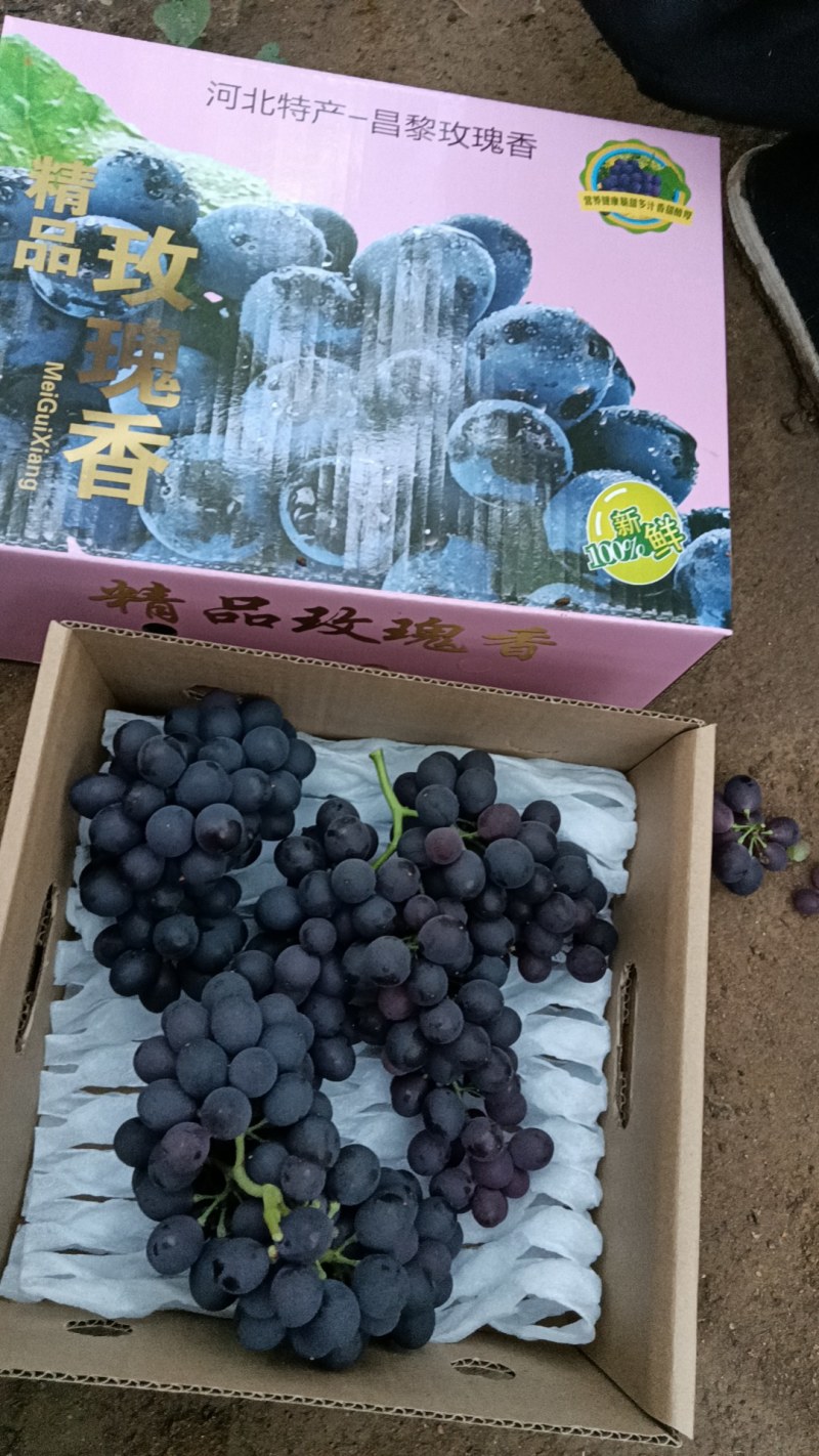 昌黎暖棚，无籽玫瑰香礼盒装，产地直供