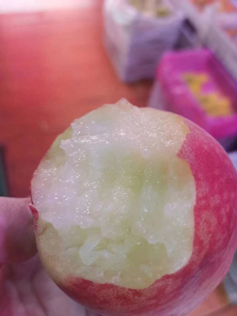 湖北毛桃春雪/突围/红不软/美脆/蜜桃等多个品种大量上市