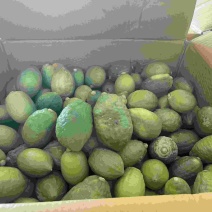 香水柠檬二级果
