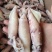 熟打海兔，烧烤，铁板