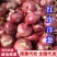 《红皮洋葱》6-7公分江苏洋葱产地直供量大从优