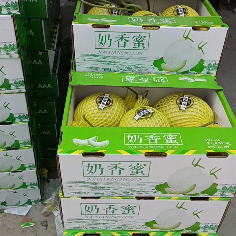 玉姑滑县甜瓜大量上市中，可代发，欢迎新老客户前来洽谈合作