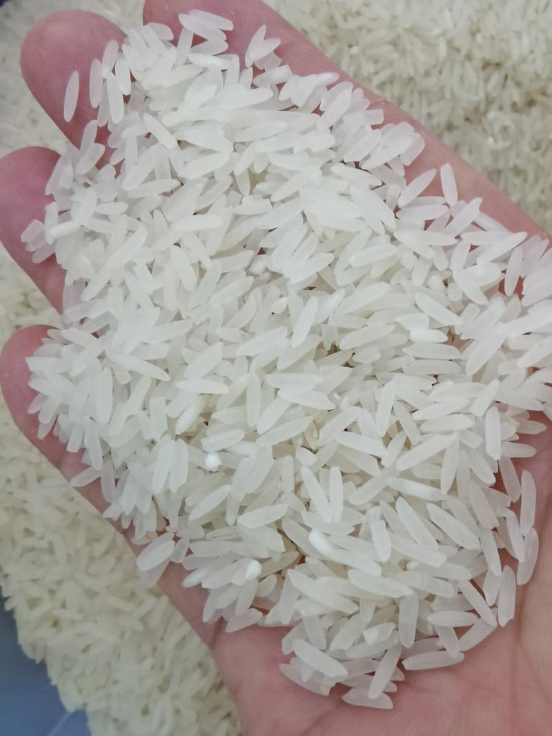 本地优质农家油粘米，大米糯米一手货源欢迎采购