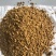 糖化玉米，蛋白9，脂肪5，含糖量20%，完全代替玉米
