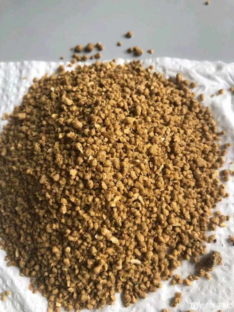 糖化玉米，蛋白9，脂肪5，含糖量20%，完全代替玉米