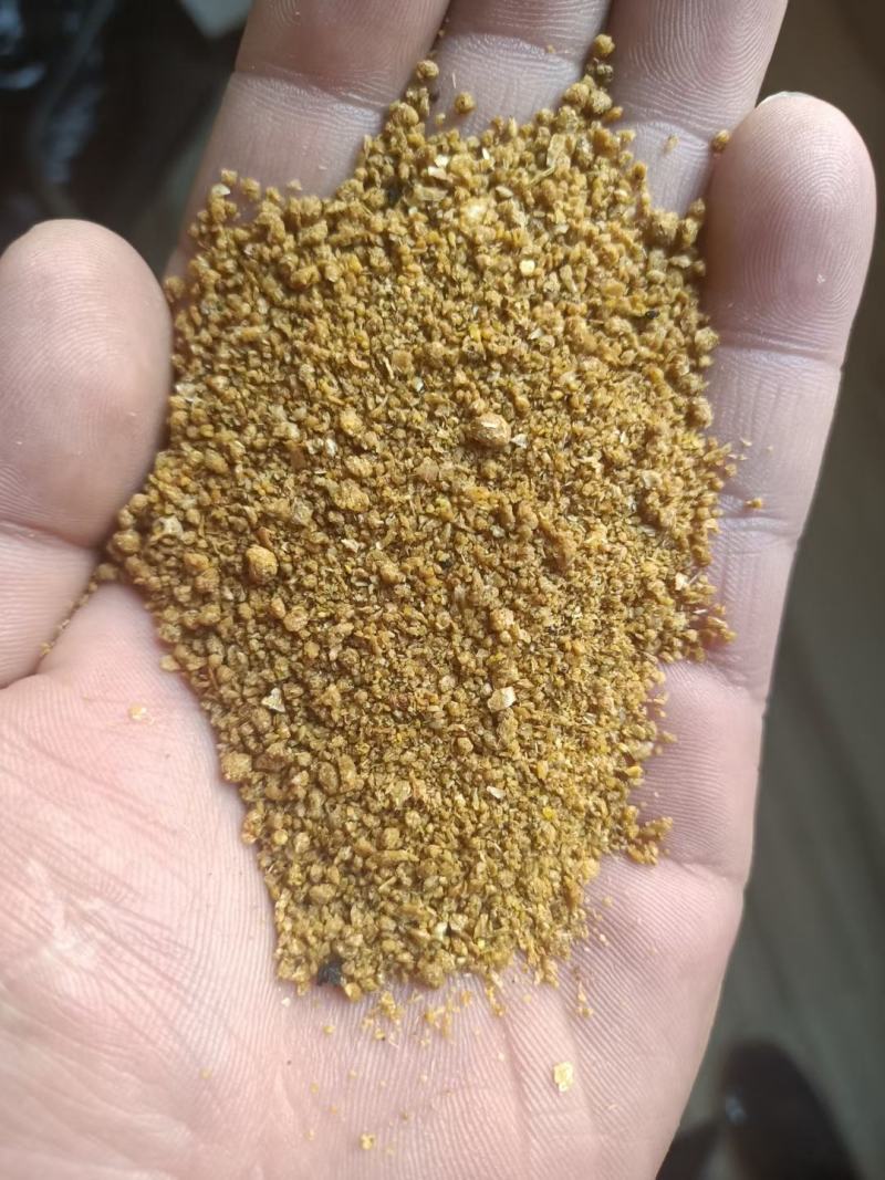 糖化玉米，蛋白9，脂肪5，含糖量20%，完全代替玉米