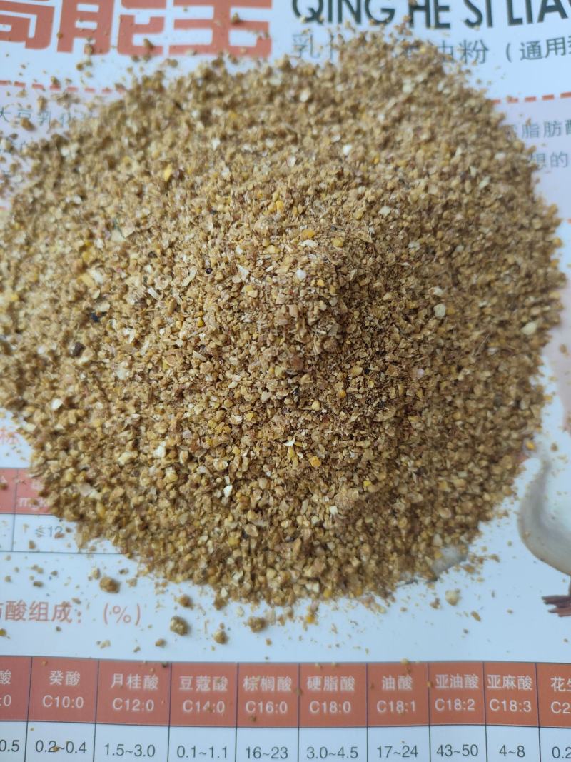 糖化玉米，蛋白9，脂肪5，含糖量20%，完全代替玉米