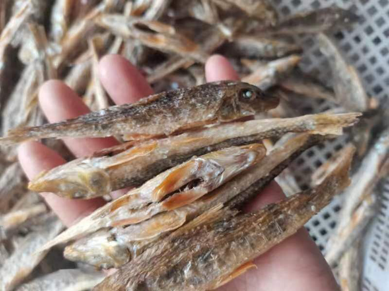 【热卖推荐】棍子鱼干高品质一手货源产地直供