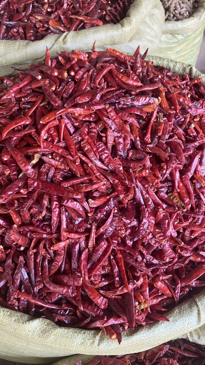 缅甸干椒