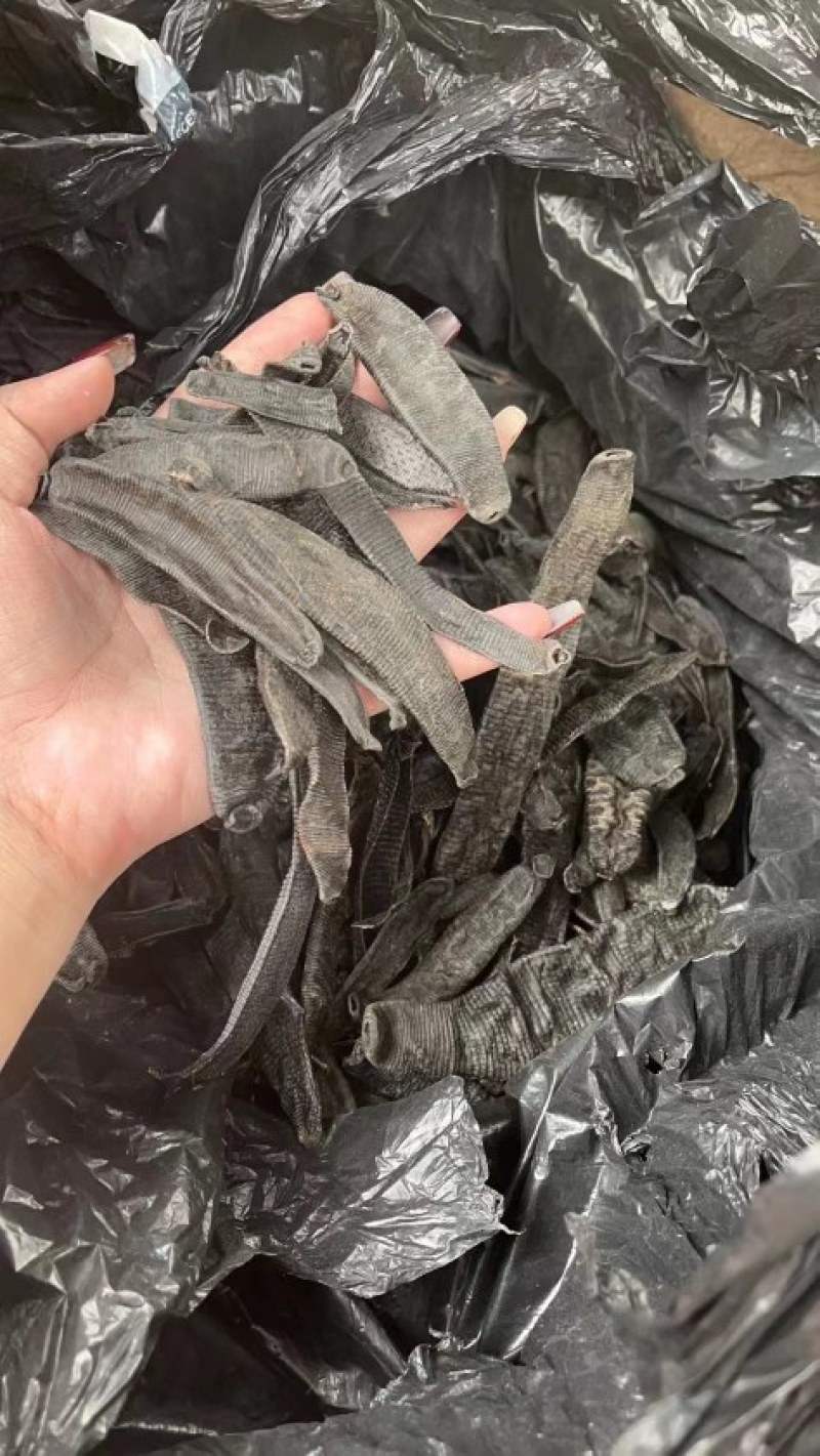 水蛭干货