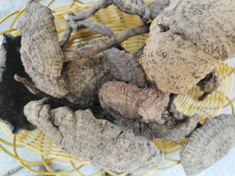 香血灵芝，好嘢，靓货，出于大山深处，灵山妙处，源于药农采