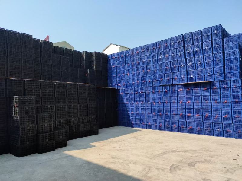 砂糖橘、沃甘等水果筐10斤到40斤装不等，可以定制塑料筐