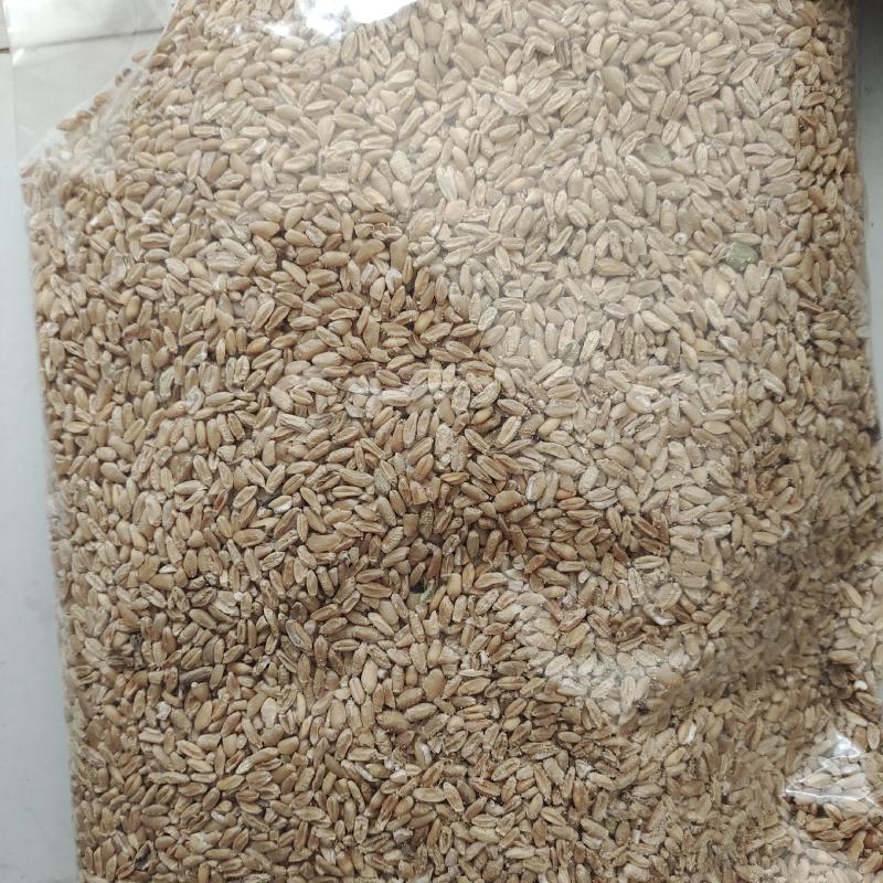 浮小麦，无硫无沫货干，一手货源，保质保量，批发各种中药材