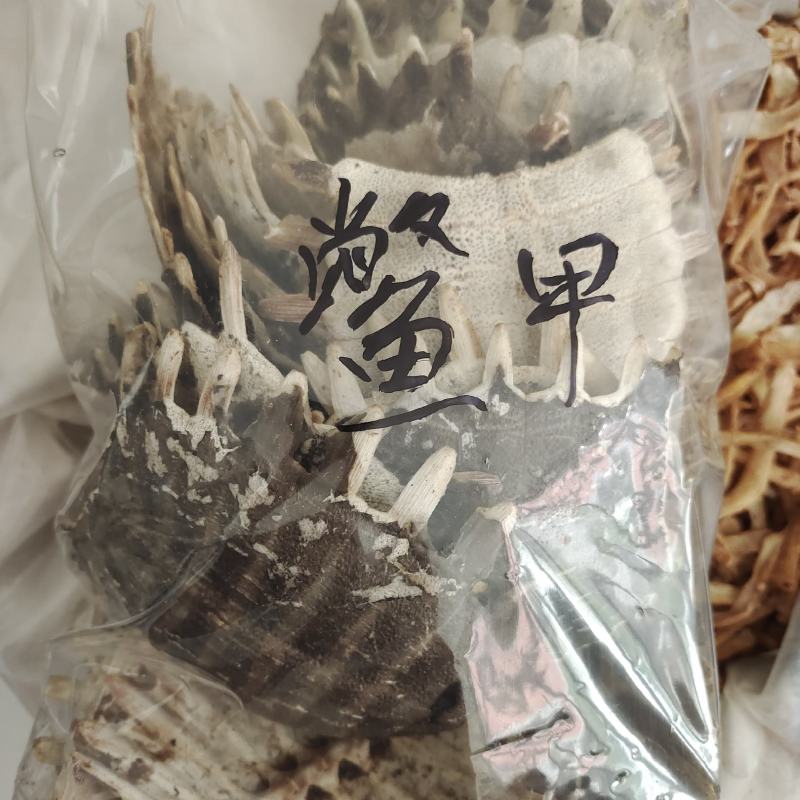 鳖甲，生鳖甲，一手货源，一件代发，批发各种中药材