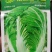 改良青杂三号50g/桶精品大白菜品种