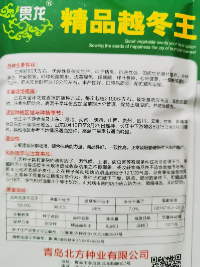 改良青杂三号50g/桶精品大白菜品种