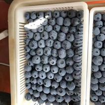【产地打折】蓝莓货源充足产地发货规格齐全价格实惠