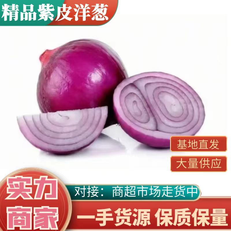 【推荐】精品紫皮二红洋葱大量现货，市场商场直供！