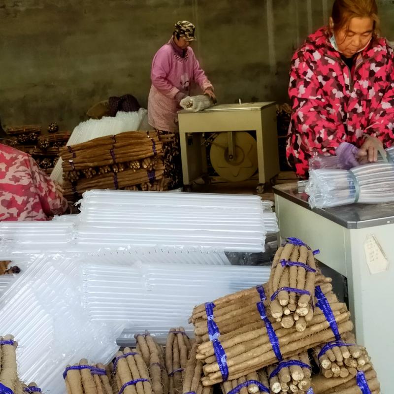 河北小白嘴山药铁棍山药淮山药可零售一件代发5斤/件