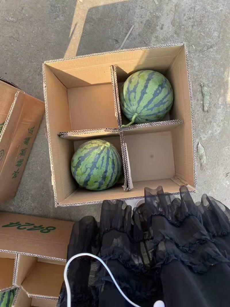 【无籽西瓜】热销产地直发规格齐全品种丰富全国代办无中间商