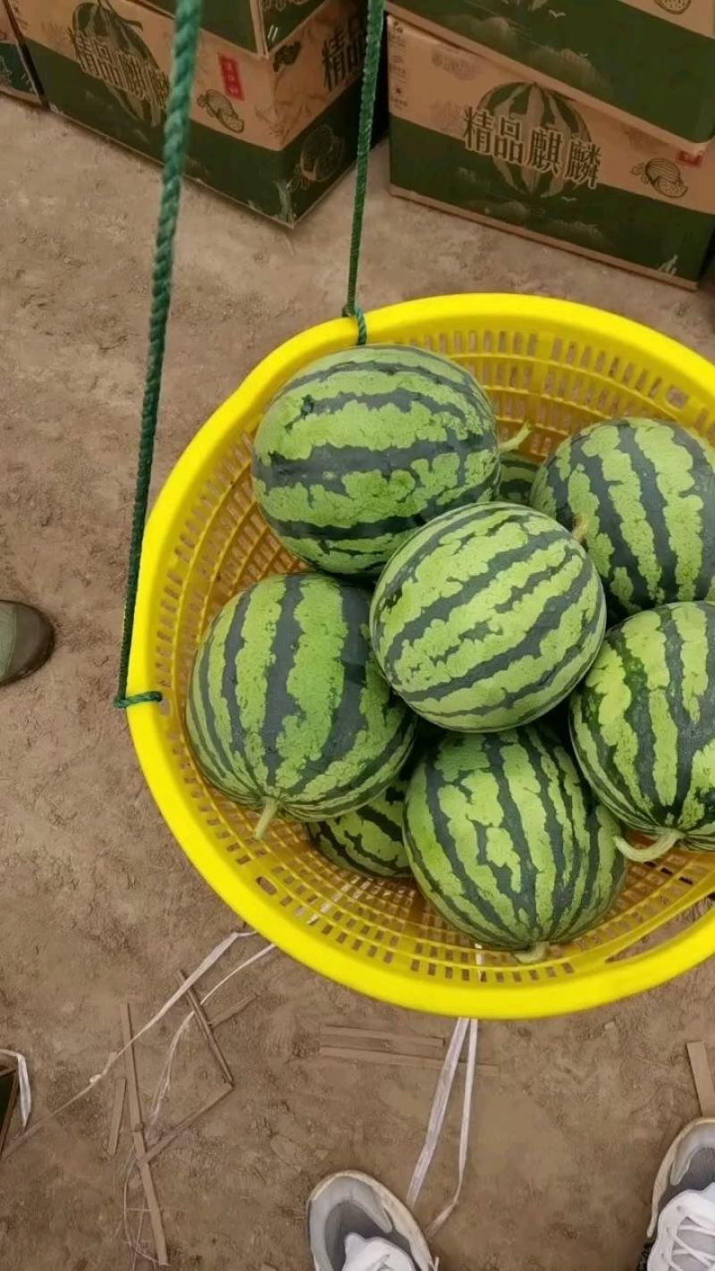 精品无籽美都现摘现发，包熟包甜