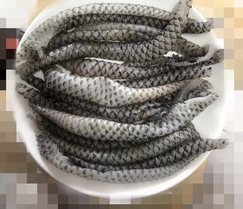 鱼皮原料捞汁食材凉拌小菜
