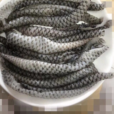鱼皮原料捞汁食材凉拌小菜