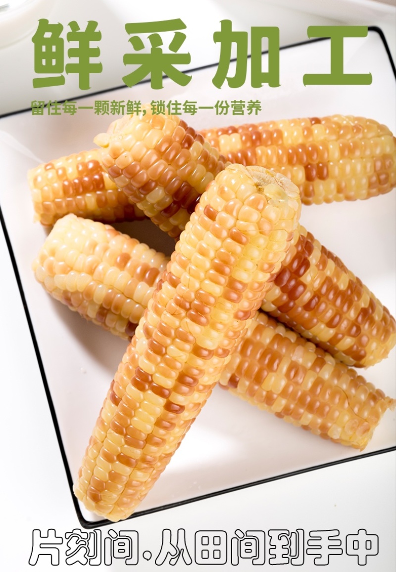 西双版纳花糯小玉米，基地发货，接一件代发团购单
