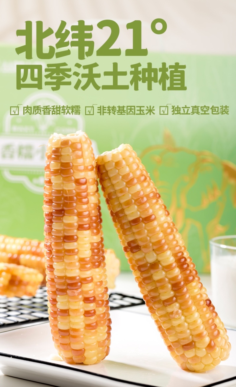 西双版纳花糯小玉米，基地发货，接一件代发团购单