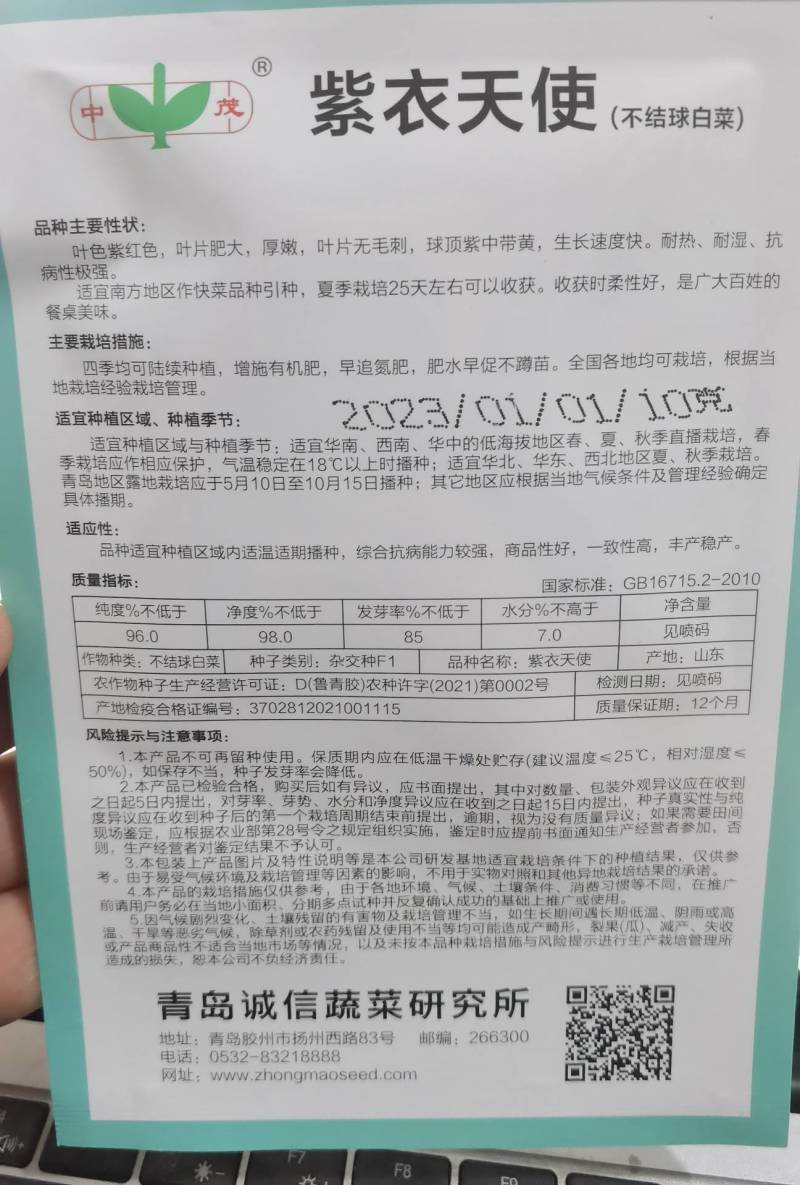 紫衣天使紫色快菜种子紫色小白菜种子特色耐热耐热四季蔬菜种