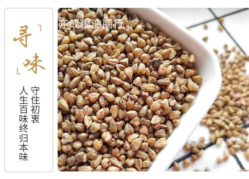 大颗粒苦荞米批发生黑荞麦仁高原粗粮新货