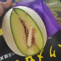 玫珑网纹甜瓜，莘县甜瓜基地大量供应，一手货源，发往全国各