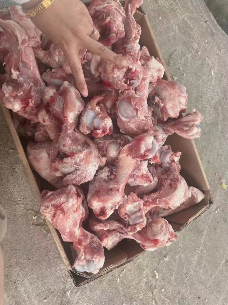 皇冠多肉前腿骨