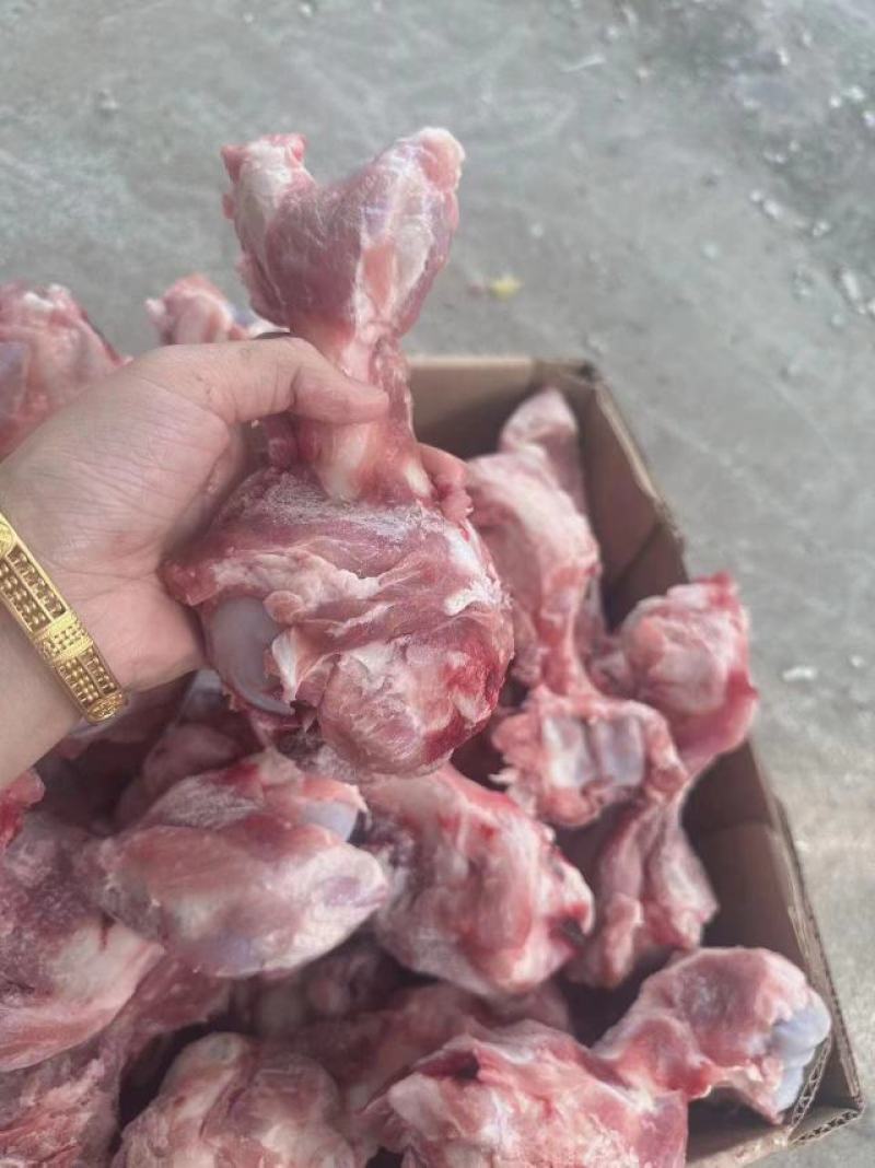 皇冠多肉前腿骨