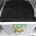 绣球花种籽子四季播种开花易活花籽盆栽庭院室内外植物绣球花