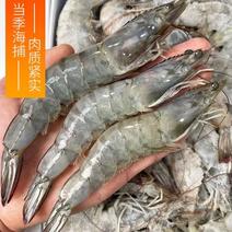 山东南美白对虾品质保证自家养殖欢迎接商超市场电商