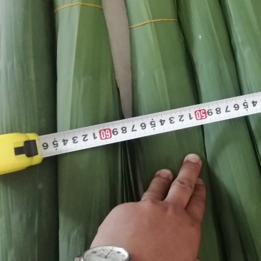 精品苇叶