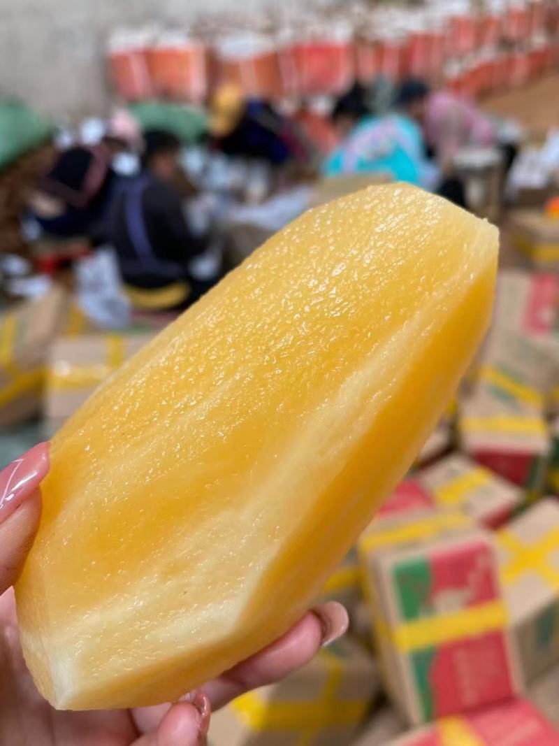 云南天山红心雪莲果黄心中圆果大量供货，支持一件代发批发