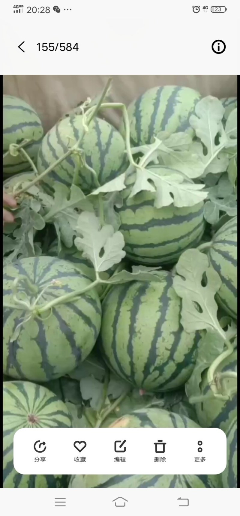 种植大户