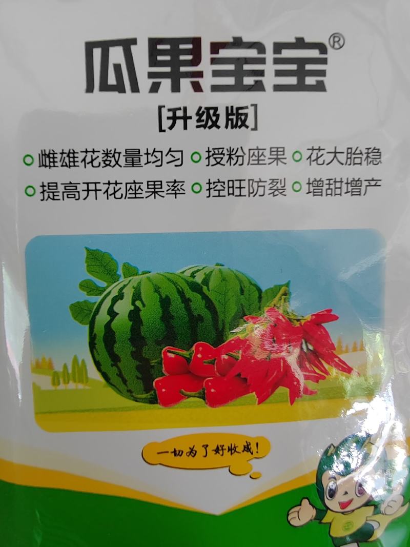 瓜果宝宝套餐，雌雄花数量均匀。授粉座果。花大胎稳，控旺