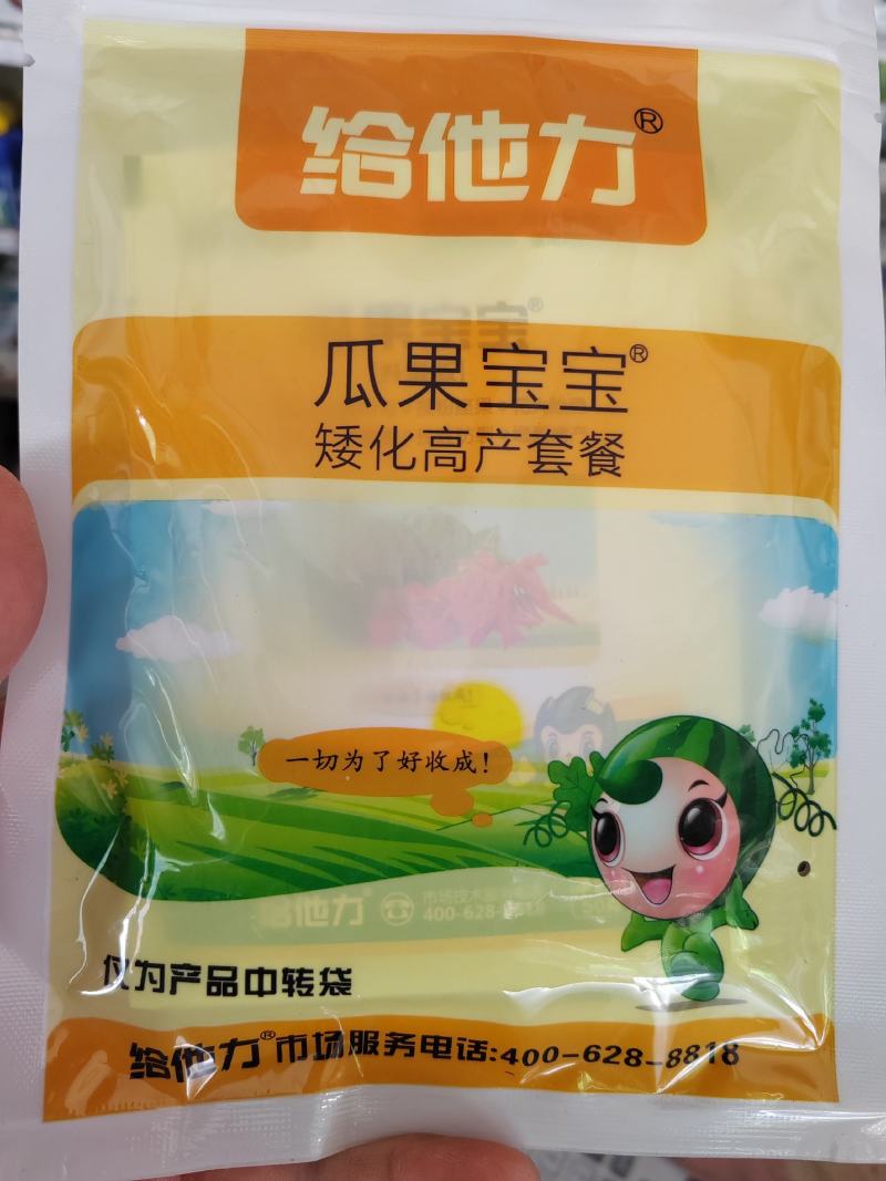 瓜果宝宝套餐，雌雄花数量均匀。授粉座果。花大胎稳，控旺